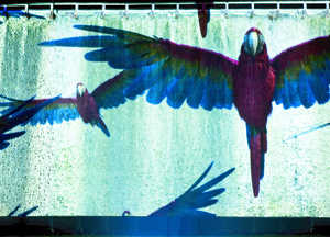 3. Projektions-Biennale lichtsicht  Bad Rothenfelde