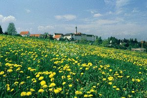 Musikfestspiele Schwäbischer Frühling