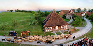 Freilandtheater Bad Windsheim - FLT GbR