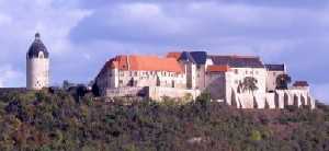 Logo Schloss Neuenburg in Freyburg